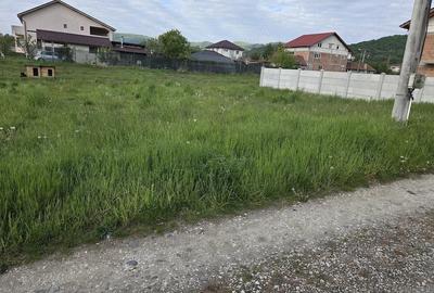 Teren de 739 mp, în Bogdănești (Bujoreni) - 1