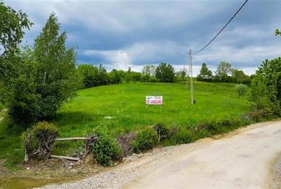 Film! 11.000 mp,pozitionare valoroasa,conditii apreciabile, Sohodol, Bran, Braso Film! 11.000 mp,pozitionare valoroasa,conditii apreciabile, Sohodol, Bran, Braso - 2