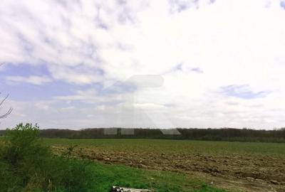 Com GRUIU_Reprezentare exclusiva_TEREN  EXTRAVILAN LANGA PADURE - 1