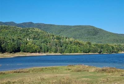 Teren  Lac Poiana Uzului - 1