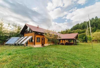 Casă cu 12 camere cu Teren 19841 Mp în Vale - 12