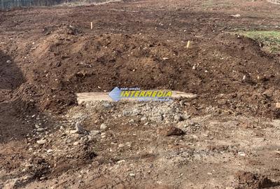 Teren Construcții de 791 mp, în Cetate - 1