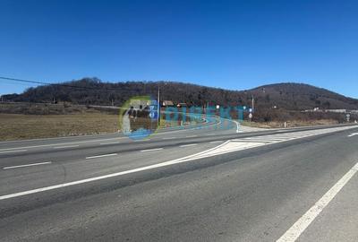 Teren de 9236 mp, în Șieu - 12
