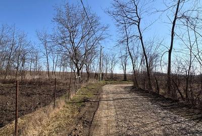 Spațiu comercial, în Miclăușeni - 7