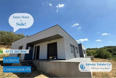 Sunny House - casa de vanzare, Paleu - Bihor - 9
