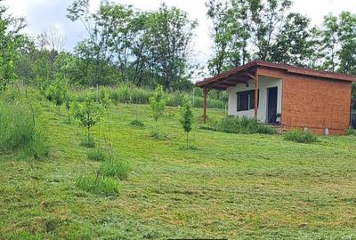 Casă cu 1 camere cu Teren 1200 Mp în Tureni - 3