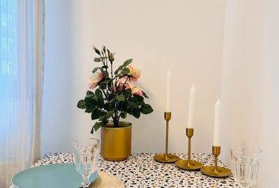 Unirii / Parcul Carol / Prima închiriere / Complex 2021 / Parcare  Contra Cost - 24