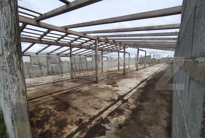 Teren intravilan cu constructie din caramida in Cheriu langa - 9