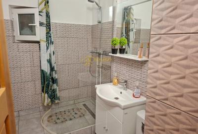 Apartament 2 camere in Tatarasi - Ciurchi - 8