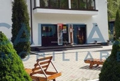 Vila cu piscina la munte, Arges - 2