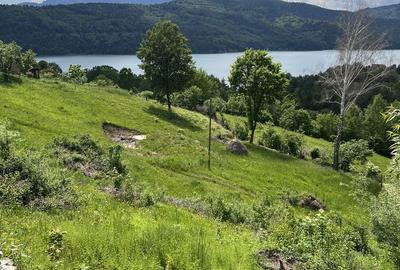 Casă cu 2 camere în Central