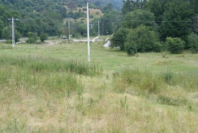 Teren de 12700 mp, în Central