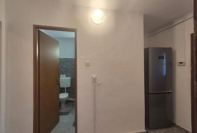 Garsoniera intrare Racadau - 8