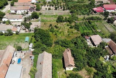 Casa Demolabila Cu Teren 2948 mp In Becicherecu Mic,Vatra Veche,Asfalt,Fs 38m - 3