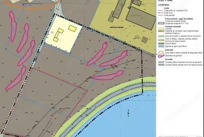Teren intravilan 20000 mp - Lacul Morii - 3