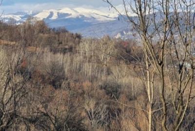 Teren de 1250 mp, în Exterior Vest - 3