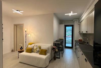 Studio Mina - Parc Residence - Regim Hotelier - Cazare - Ramnicu Valcea - 7