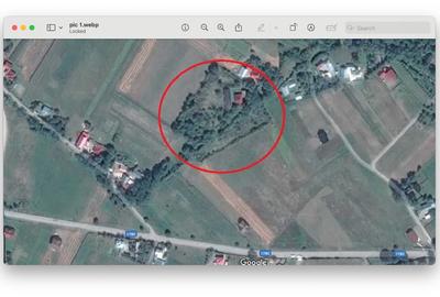 Teren intravilan 10.864 mp cu casa veche + drum privat – Frătăuții Noi - 1