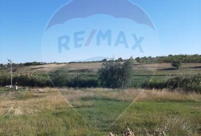 Teren 1856 mp la DJ504A, Drăghiceanu – zonă liniștită - 8