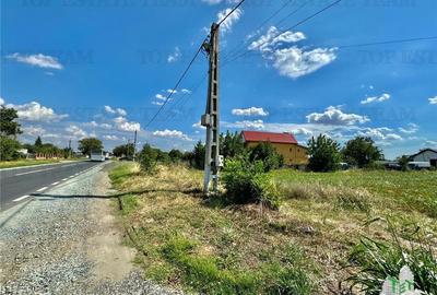 Frumusani/ DN4 / Calarasi / Teren stradal de vanzare - 1