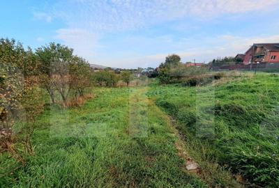 Teren extravilan, 1410 mp, situat pe Valea Chintaului - 2