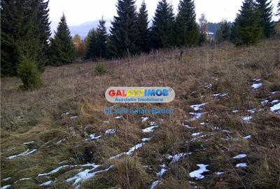 Teren intravilan de 12730 mp, în Central - 6