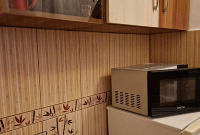 Garsonieră decomandată în Dosu Bricii - 14