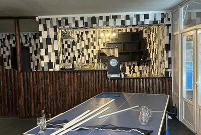 Spațiu comercial, de 300 mp, în Belciugatele - 7