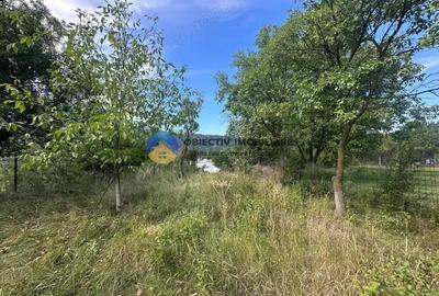 Teren de Vanzare 1172 mp Dumbrava Ro?ie, Neam? - 13