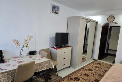 Garsonieră semidecomandată în Brazda lui Novac - 2