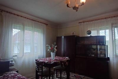 Casă cu 4 camere cu Teren 2651 Mp în Rișculița - 10