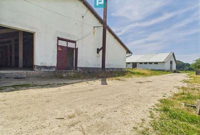 Hale 1800 mp fiecare – acces autostradă, Teiu, HD - 20