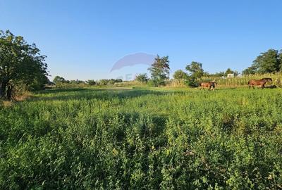 Teren intravilan 1,733mp Mitocasi, Suceava - 17