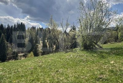 Teren de 8450 mp, în Central - 6