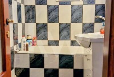 Apartament cu 3 camere decomandat în Brazda lui Novac - 11