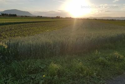 Teren Stupini Calea Feldioarei 4600 mp,22 euro/mp, front la asfalt - 2