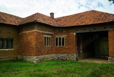 Casă cu Teren 11000 Mp în Dumbrăvița - 1