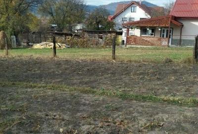 Teren de 996 mp, în Alexandru cel Bun - 2