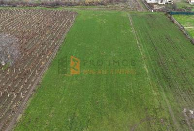 EXCLUSIVITATE! Teren intravilan in Merei Buzau - 4