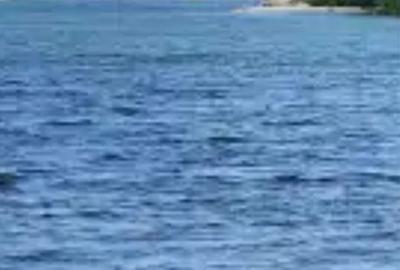 Teren de 23500 mp, în Gura Văii - 1