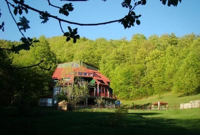 Casa de Vacanta / Cabana / Vila / Pensiune / Lepsa Vrancea -Munte - 7