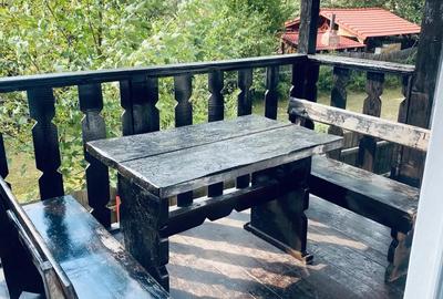 Casa de vacanta Rau Sadului - 7