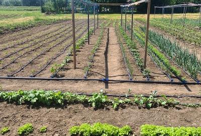 Casă individuală cu 3 camere cu Teren 503 Mp în Gălești - 9