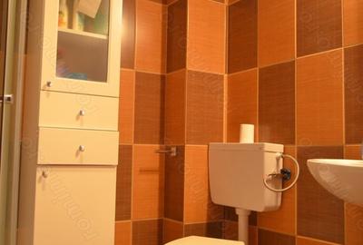 Apartament cu 3 camere decomandat în Bușteni - 9