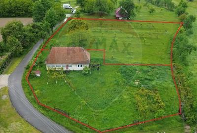 Casă cu 3 camere cu Teren 3760 Mp în Arieșu de Pădure - 10