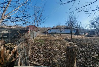 Casă cu Teren 720 Mp în Crihan - 3