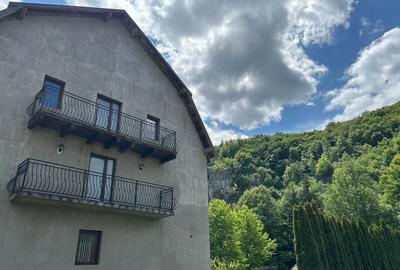 Casă cu 8 camere cu Teren 4000 Mp în Bălnaca - 4