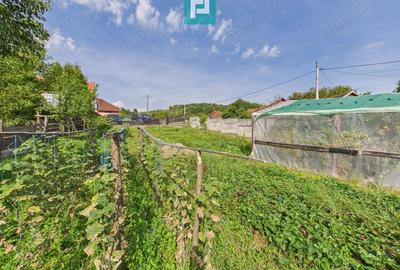 Casa ?i centru comercial, in localitatea Lazuri - 2