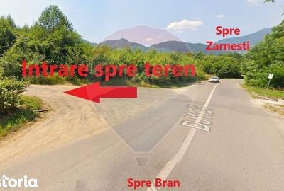 Teren de 4223 mp, în Bran - 19