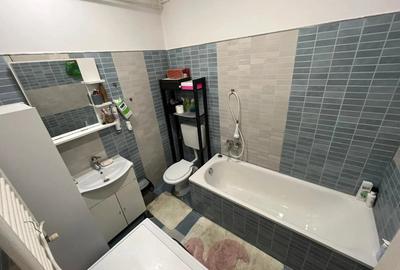 Inchiriere Grasoniera in Grozavesti - 2